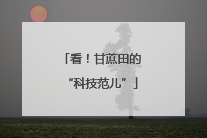看！甘蔗田的“科技范儿”