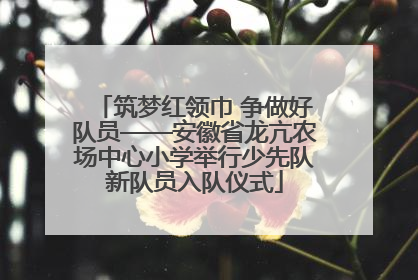 筑梦红领巾 争做好队员——安徽省龙亢农场中心小学举行少先队新队员入队仪式
