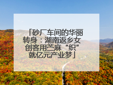 砂厂车间的华丽转身：湖南返乡女创客用苎麻“织”就亿元产业梦