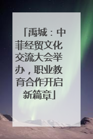 禹城：中菲经贸文化交流大会举办，职业教育合作开启新篇章
