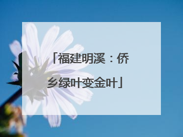 福建明溪：侨乡绿叶变金叶