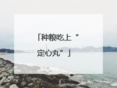 种粮吃上“定心丸”