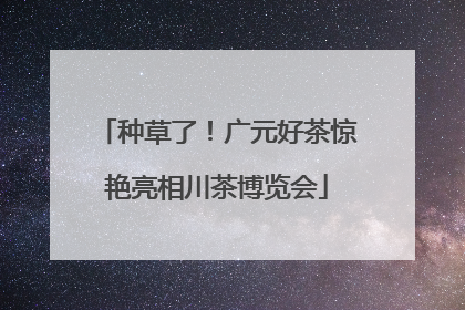 种草了！广元好茶惊艳亮相川茶博览会