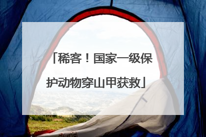 稀客！国家一级保护动物穿山甲获救