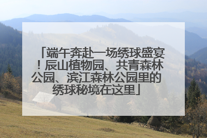 端午奔赴一场绣球盛宴！辰山植物园、共青森林公园、滨江森林公园里的绣球秘境在这里