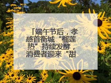 端午节后，孝感首衡城“榴莲热”持续发酵，消费者迎来“甜蜜”囤货期