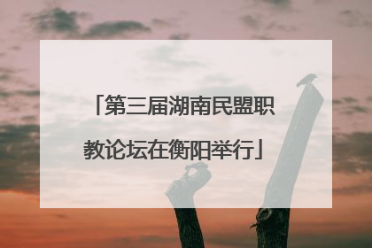 第三届湖南民盟职教论坛在衡阳举行