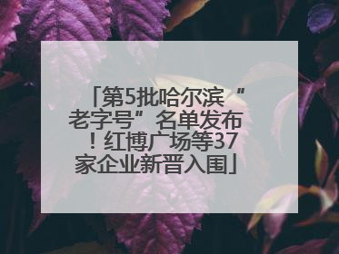 第5批哈尔滨“老字号”名单发布！红博广场等37家企业新晋入围