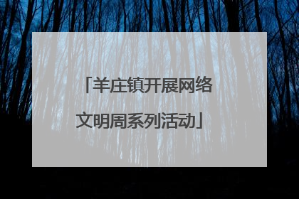 羊庄镇开展网络文明周系列活动