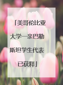 美哥伦比亚大学一亲巴勒斯坦学生代表已获释