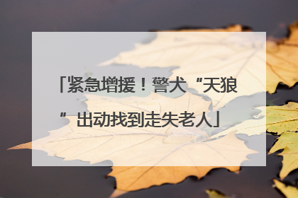 紧急增援！警犬“天狼”出动找到走失老人