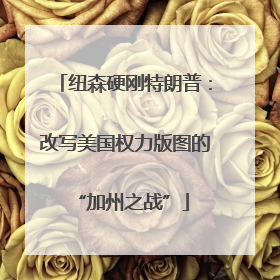 纽森硬刚特朗普：改写美国权力版图的 “加州之战”