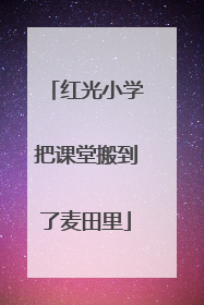 红光小学把课堂搬到了麦田里