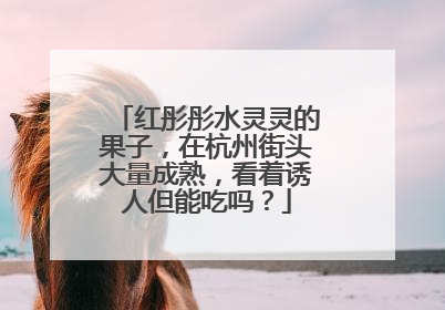 红彤彤水灵灵的果子，在杭州街头大量成熟，看着诱人但能吃吗？