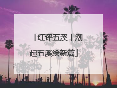 红评五溪丨潮起五溪绘新篇