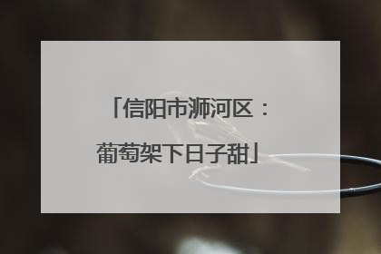 信阳市浉河区：葡萄架下日子甜