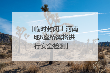 临时封闭！河南一地6座桥梁将进行安全检测