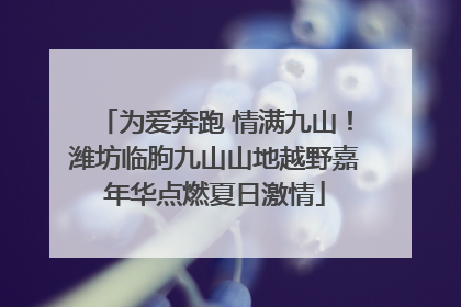 为爱奔跑 情满九山！潍坊临朐九山山地越野嘉年华点燃夏日激情