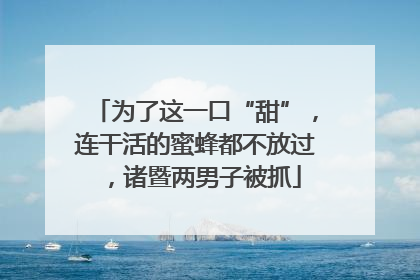 为了这一口“甜”，连干活的蜜蜂都不放过，诸暨两男子被抓