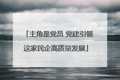 主角是党员 党建引领这家民企高质量发展