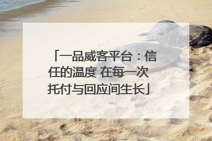 一品威客平台：信任的温度 在每一次托付与回应间生长