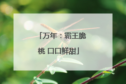 万年：霸王脆桃 口口鲜甜