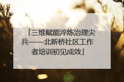 三维赋能淬炼治理尖兵——北新桥社区工作者培训初见成效