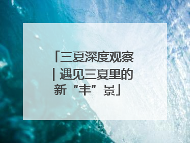 三夏深度观察｜遇见三夏里的新“丰”景