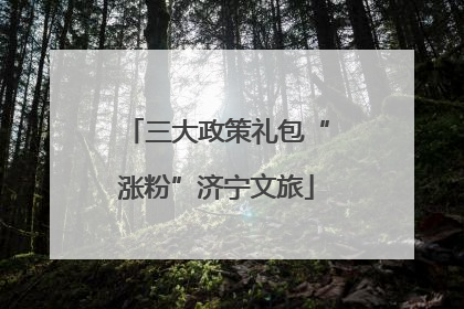 三大政策礼包“涨粉”济宁文旅