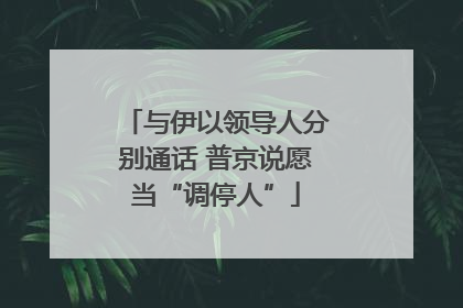与伊以领导人分别通话 普京说愿当“调停人”
