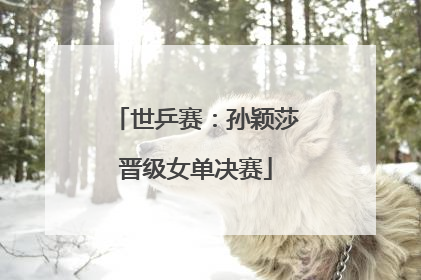 世乒赛：孙颖莎晋级女单决赛