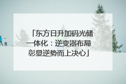东方日升加码光储一体化：逆变器布局彰显逆势而上决心