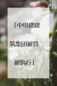 中电建建筑集团被罚被执行