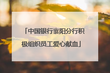 中国银行襄阳分行积极组织员工爱心献血