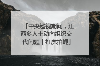 中央巡视期间，江西多人主动向组织交代问题｜打虎拍蝇