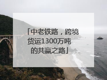 中老铁路，跨境货运1300万吨的共赢之路