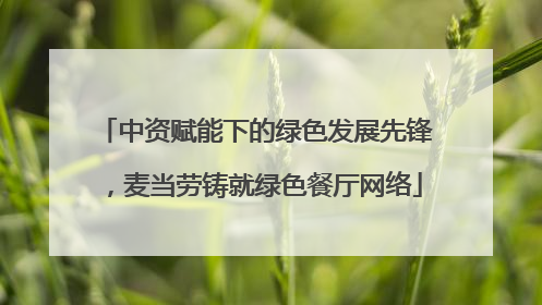 中资赋能下的绿色发展先锋，麦当劳铸就绿色餐厅网络