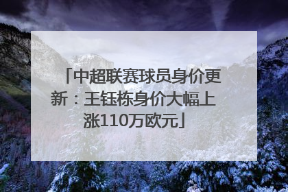 中超联赛球员身价更新：王钰栋身价大幅上涨110万欧元