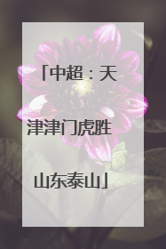 中超：天津津门虎胜山东泰山