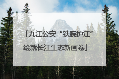 九江公安“铁腕护江”绘就长江生态新画卷