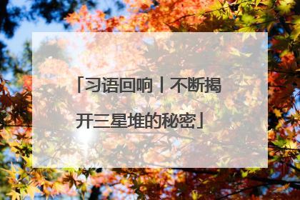 习语回响丨不断揭开三星堆的秘密