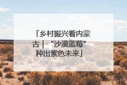 乡村振兴看内蒙古｜“沙漠蓝莓”种出紫色未来