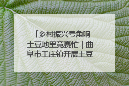 乡村振兴号角响 土豆地里竞赛忙｜曲阜市王庄镇开展土豆收获劳动竞赛