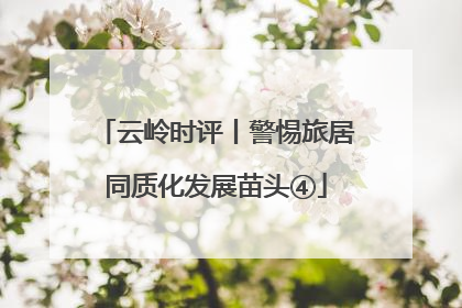 云岭时评丨警惕旅居同质化发展苗头④