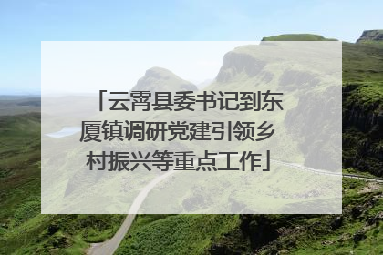 云霄县委书记到东厦镇调研党建引领乡村振兴等重点工作