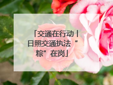 交通在行动丨日照交通执法“粽”在岗