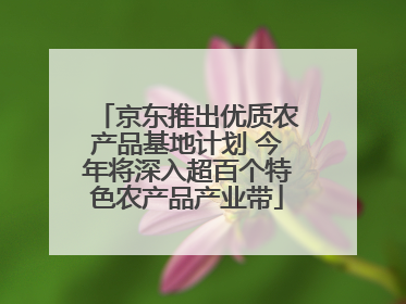 京东推出优质农产品基地计划 今年将深入超百个特色农产品产业带