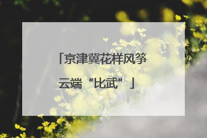 京津冀花样风筝云端“比武”
