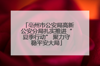 亳州市公安局高新公安分局扎实推进“夏季行动” 聚力守稳平安大局