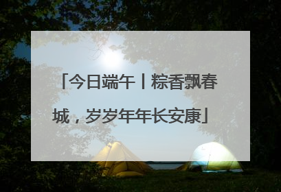 今日端午丨粽香飘春城，岁岁年年长安康